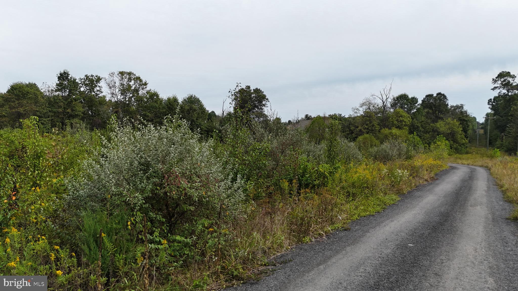 Delta Diamond Lane Leesburg, VA 20175 - Photo 17 of 17 a view of a pathway with a lake