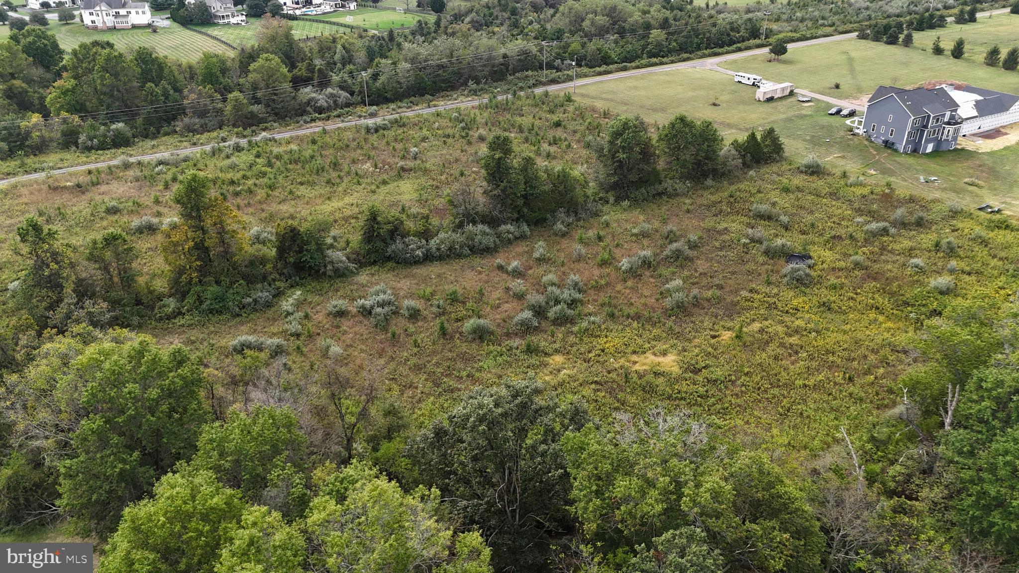 Delta Diamond Lane Leesburg, VA 20175 - Photo 4 of 17 a view of a yard with plants and large trees
