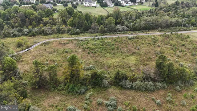 a view of a forest with trees
