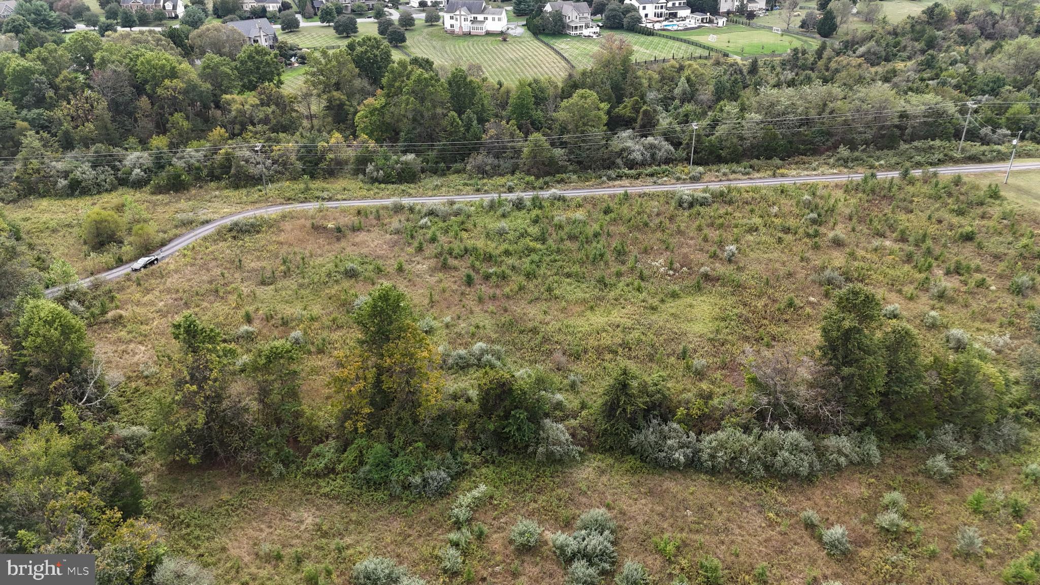 Delta Diamond Lane Leesburg, VA 20175 - Photo 5 of 17 a view of a forest with trees