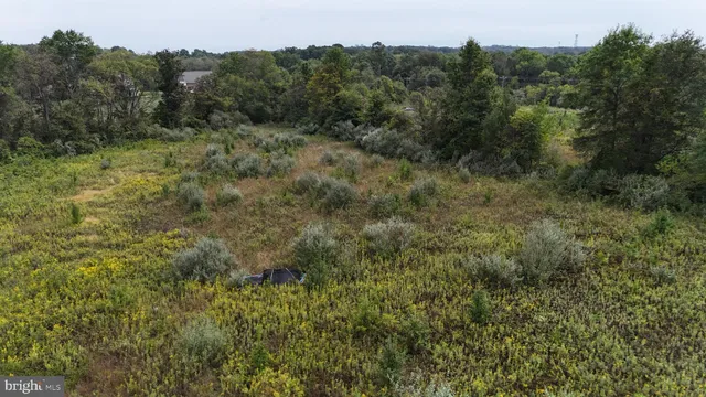 a view of a field of grass and trees