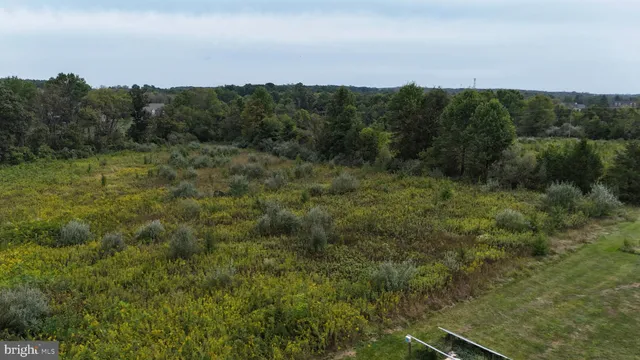 a view of a forest with a forest