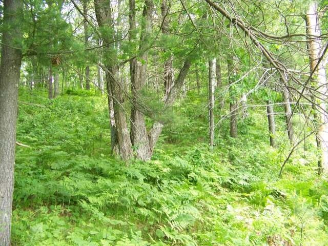 18-a On Cth Street Rhinelander, WI 54501 - Photo 9 of 20 Gallery Image 9