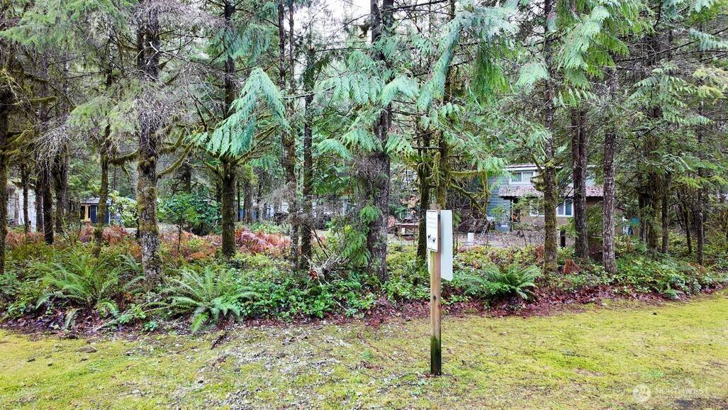 1 Riverside Drive Deming, WA 98244 - Photo 22 of 23