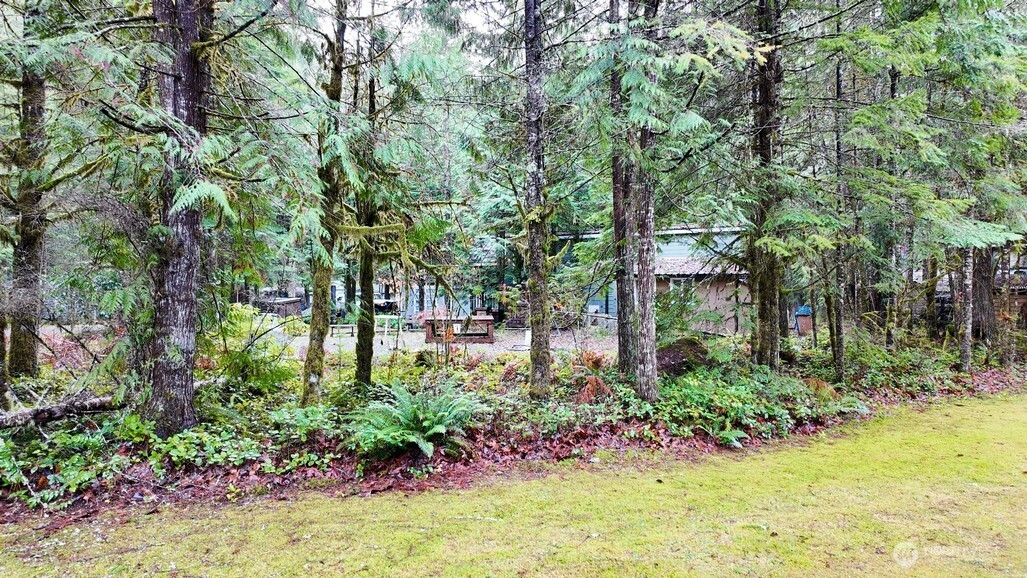 1 Riverside Drive Deming, WA 98244 - Photo 23 of 23