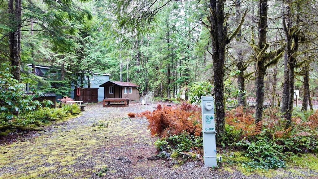 1 Riverside Drive Deming, WA 98244 - Photo 4 of 23