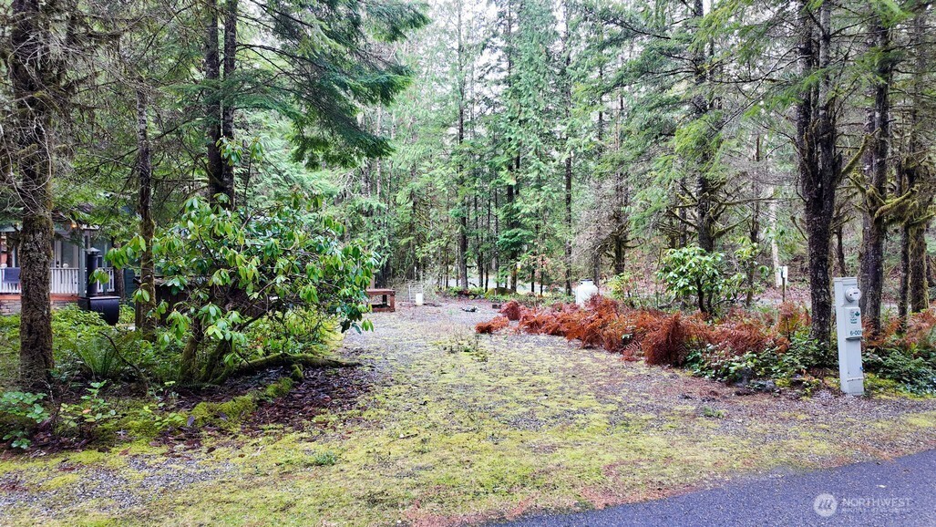 1 Riverside Drive Deming, WA 98244 - Photo 5 of 23