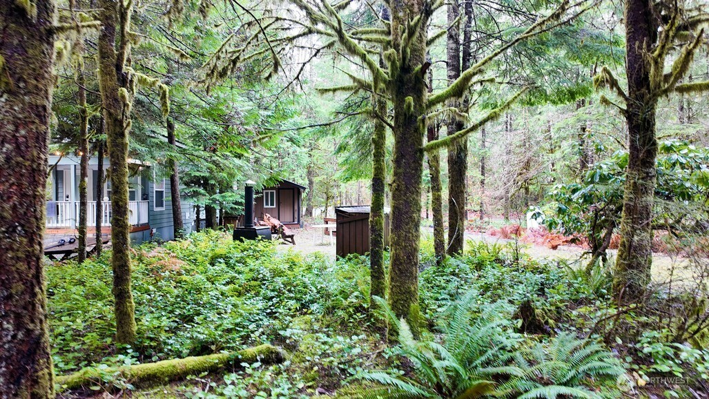 1 Riverside Drive Deming, WA 98244 - Photo 6 of 23