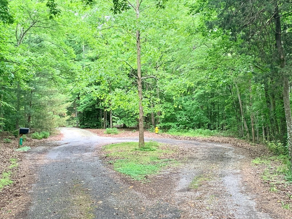 0 Red Cloud Trail Spring City, TN 37381 - Photo 35 of 49