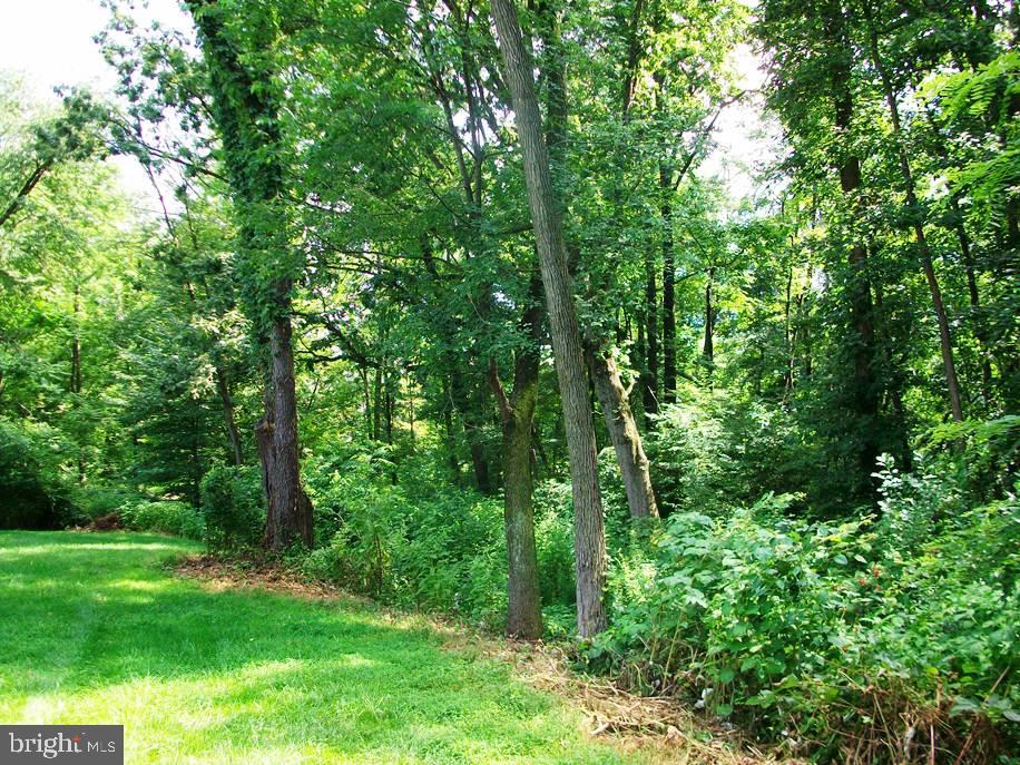 236 North New Street Lititz, PA 17543 - Photo 4 of 47