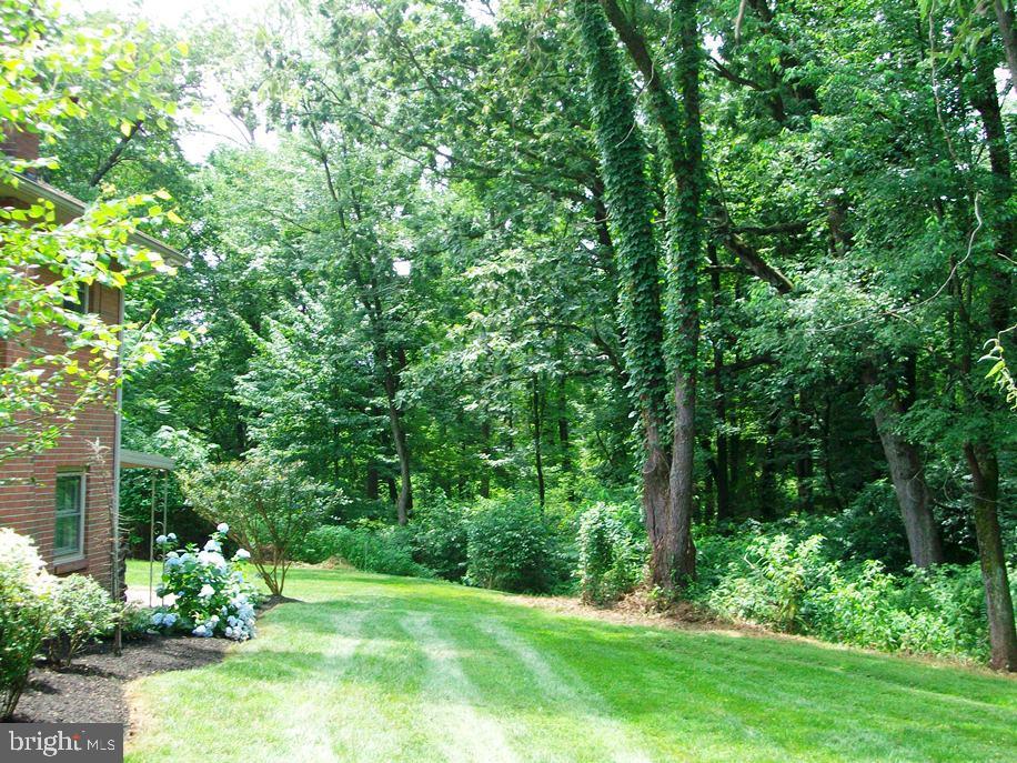 236 North New Street Lititz, PA 17543 - Photo 42 of 47