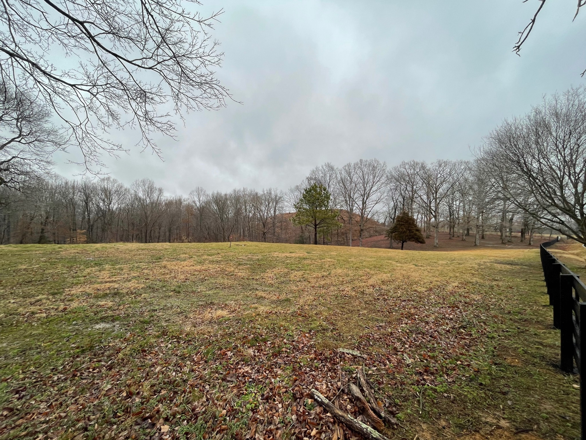 7 Pinewood Road Franklin, TN 37064 - Photo 1 of 12 a view of outdoor space and yard