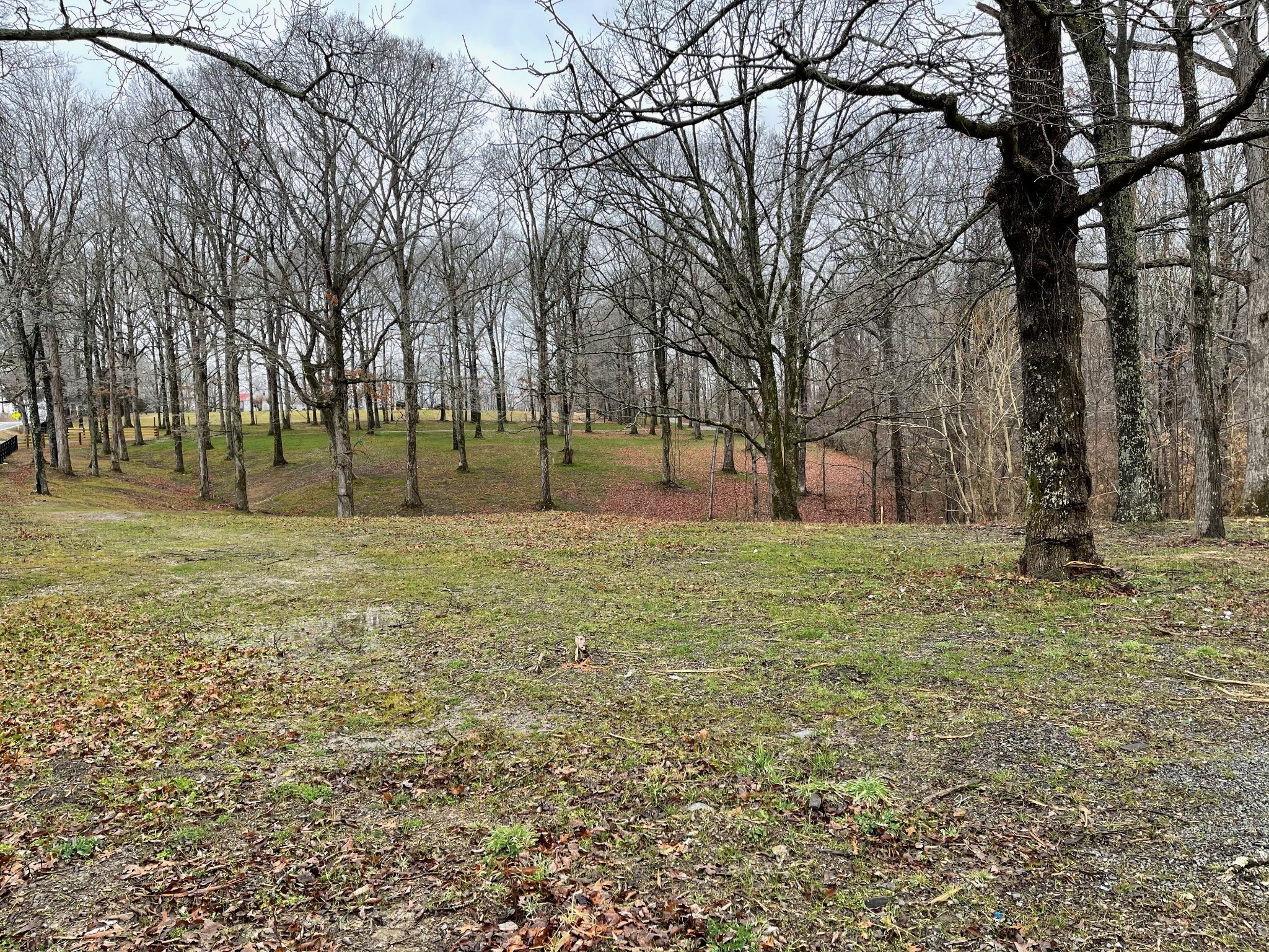 7 Pinewood Road Franklin, TN 37064 - Photo 2 of 12 a view of space with trees