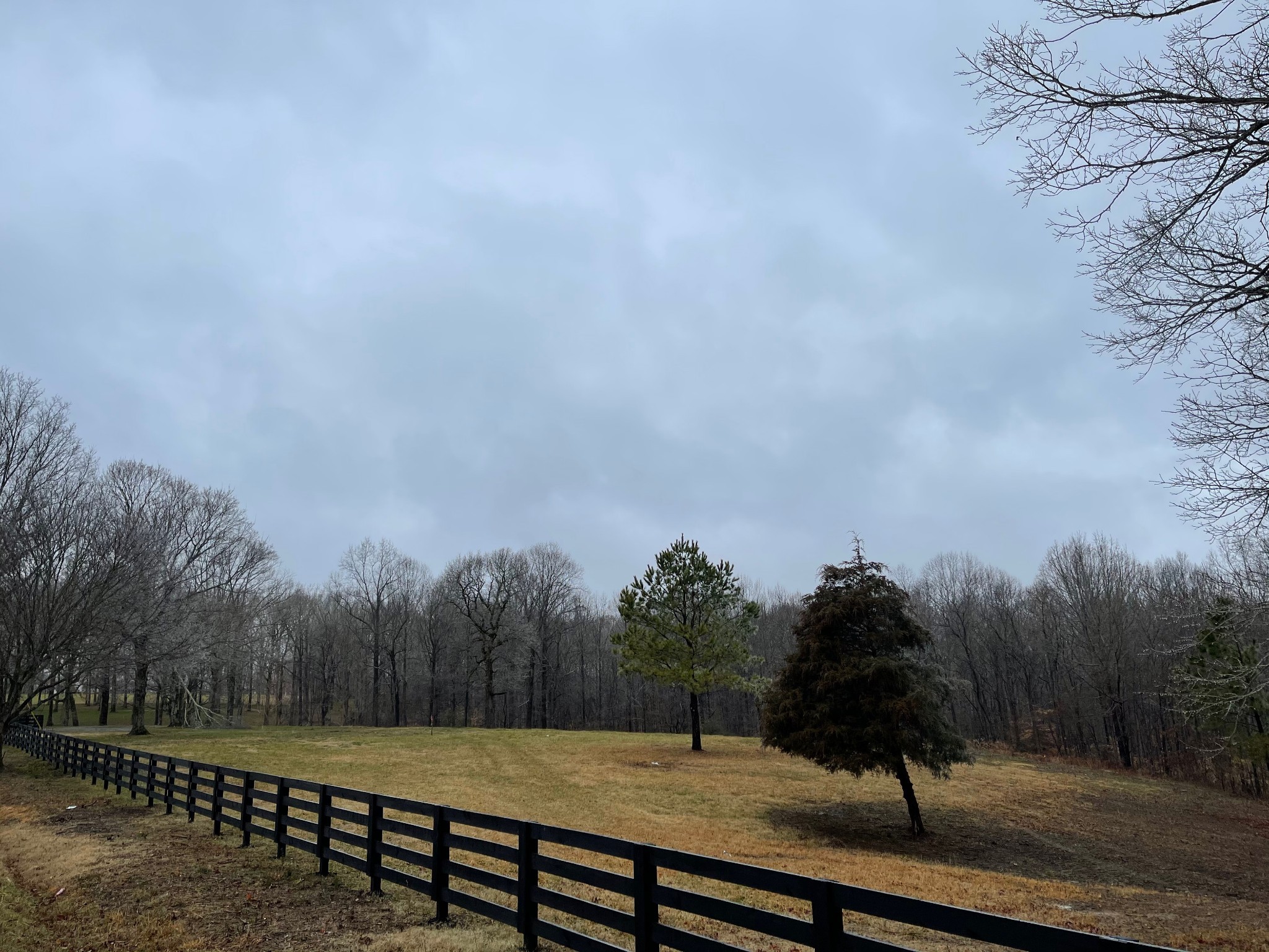 7 Pinewood Road Franklin, TN 37064 - Photo 11 of 12