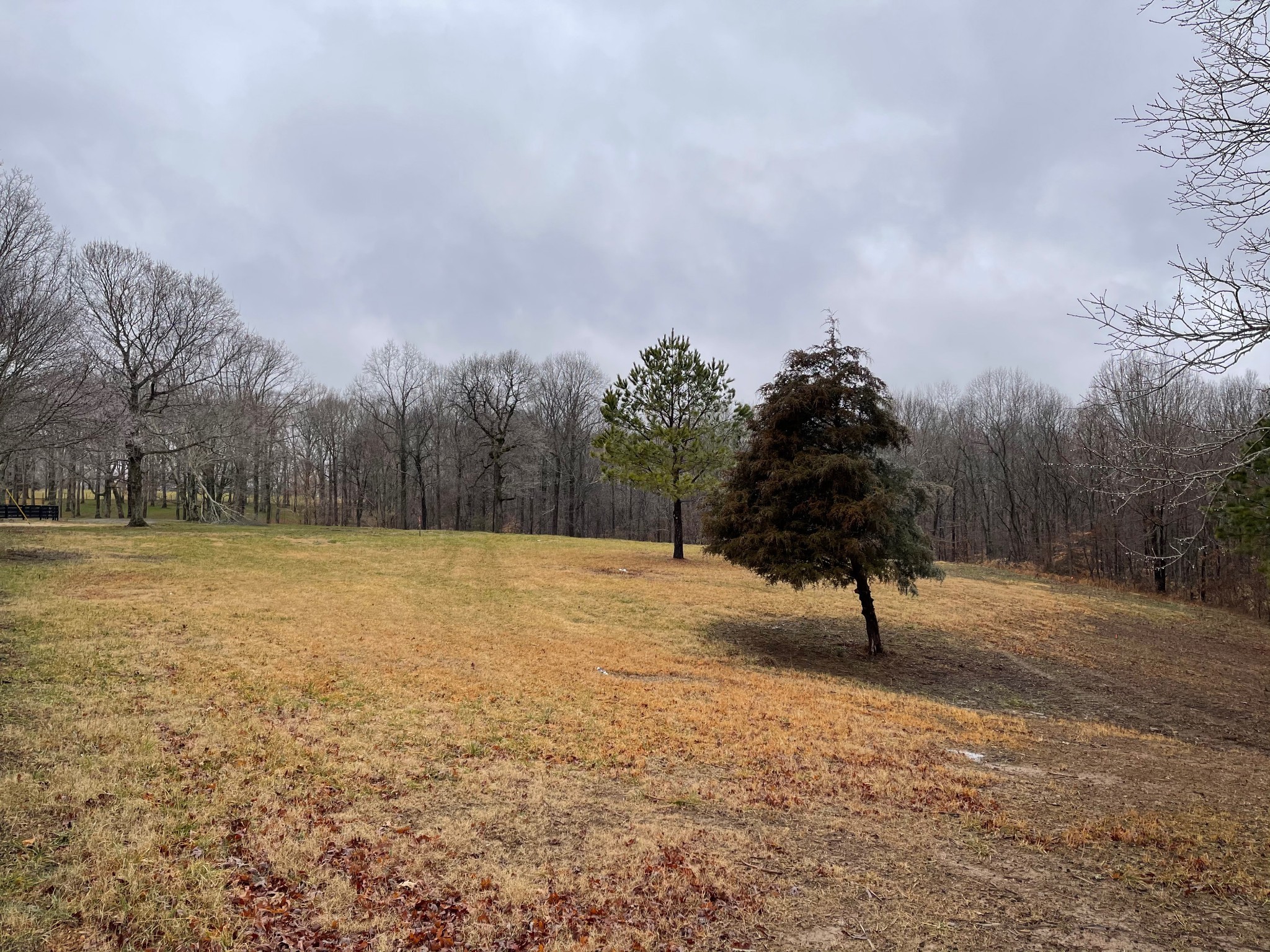 7 Pinewood Road Franklin, TN 37064 - Photo 12 of 12 a view of empty yard with tree and wooden fence