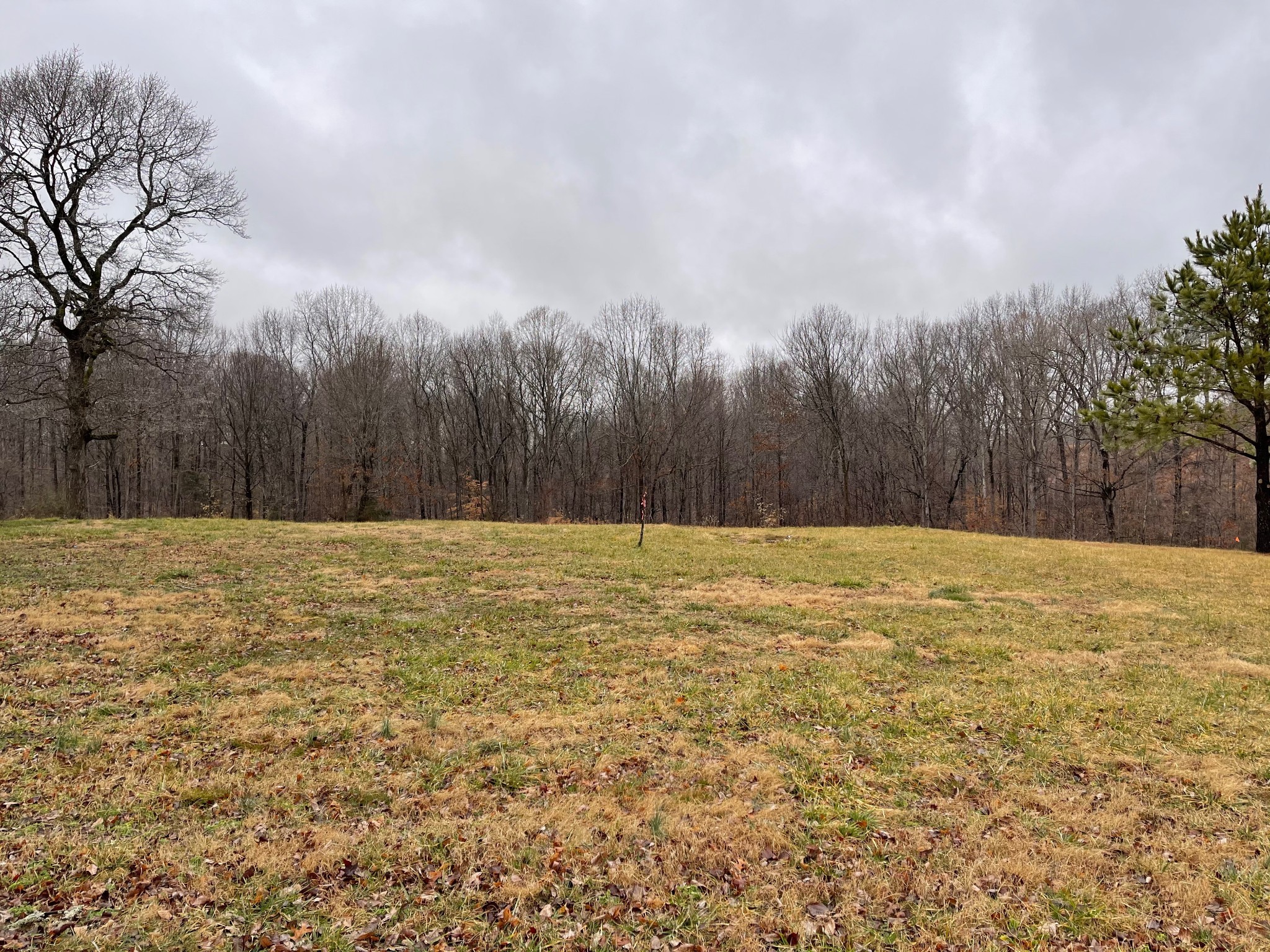 7 Pinewood Road Franklin, TN 37064 - Photo 3 of 12