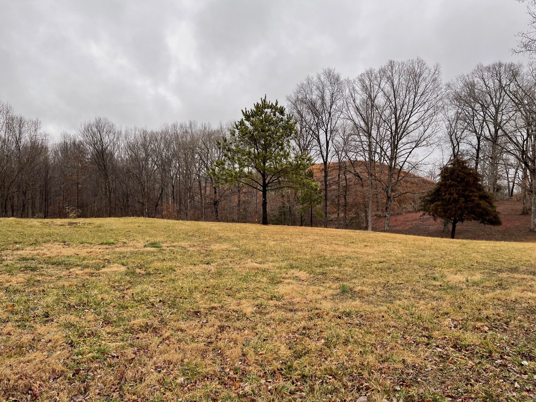 7 Pinewood Road Franklin, TN 37064 - Photo 4 of 12 a view of large yard with trees