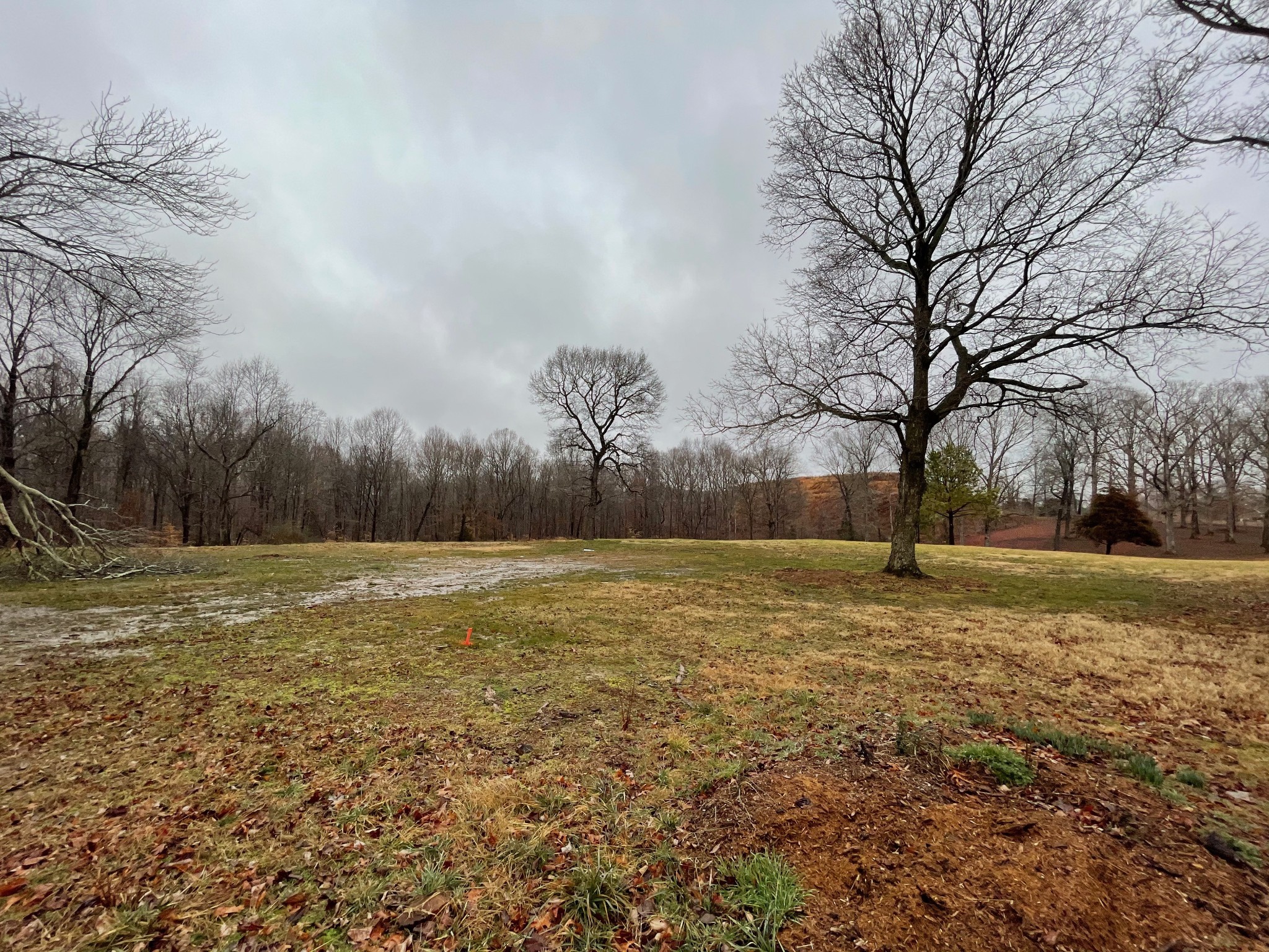 7 Pinewood Road Franklin, TN 37064 - Photo 5 of 12 a view of a field with trees