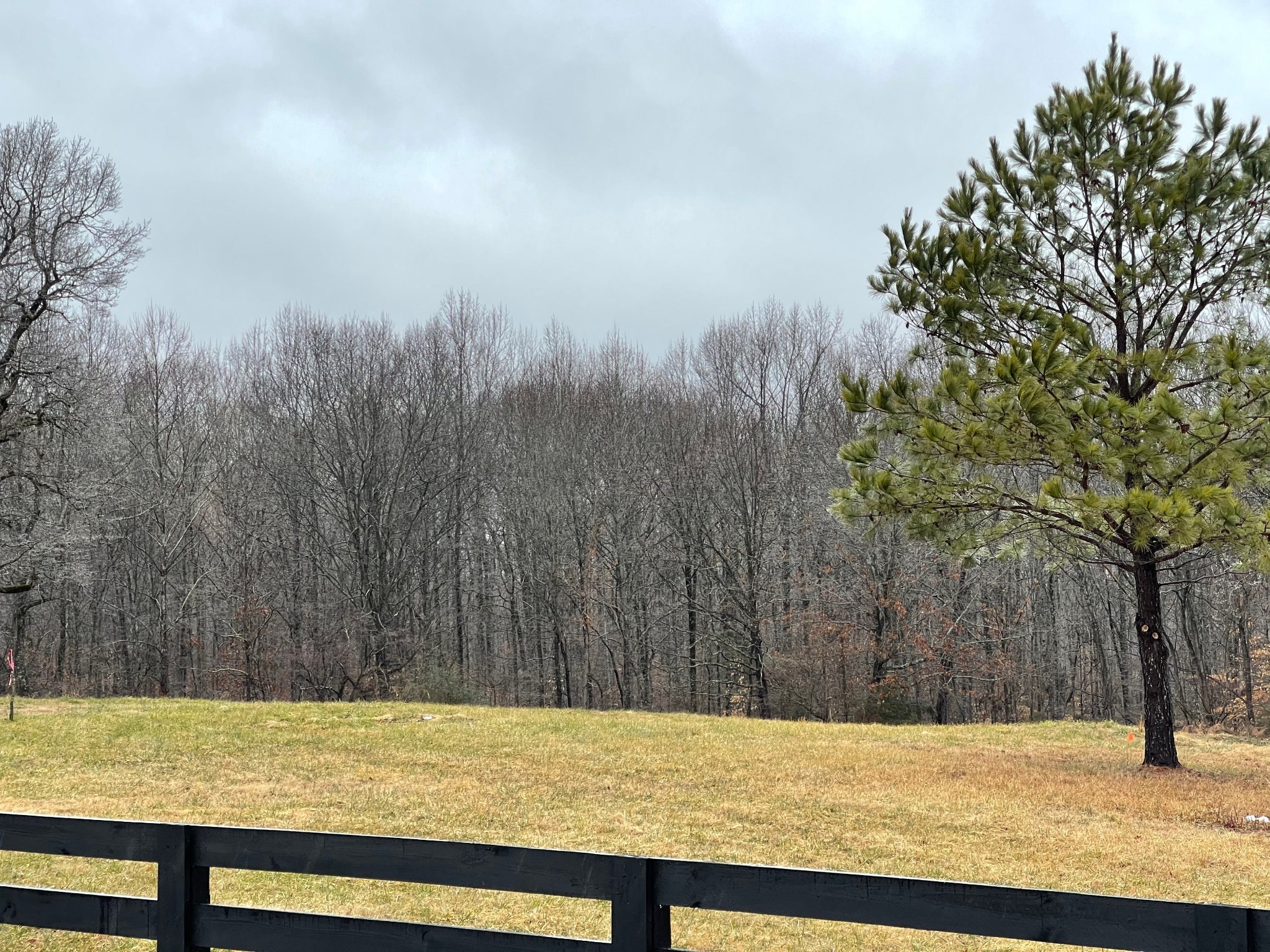 7 Pinewood Road Franklin, TN 37064 - Photo 6 of 12 a view of a yard with trees