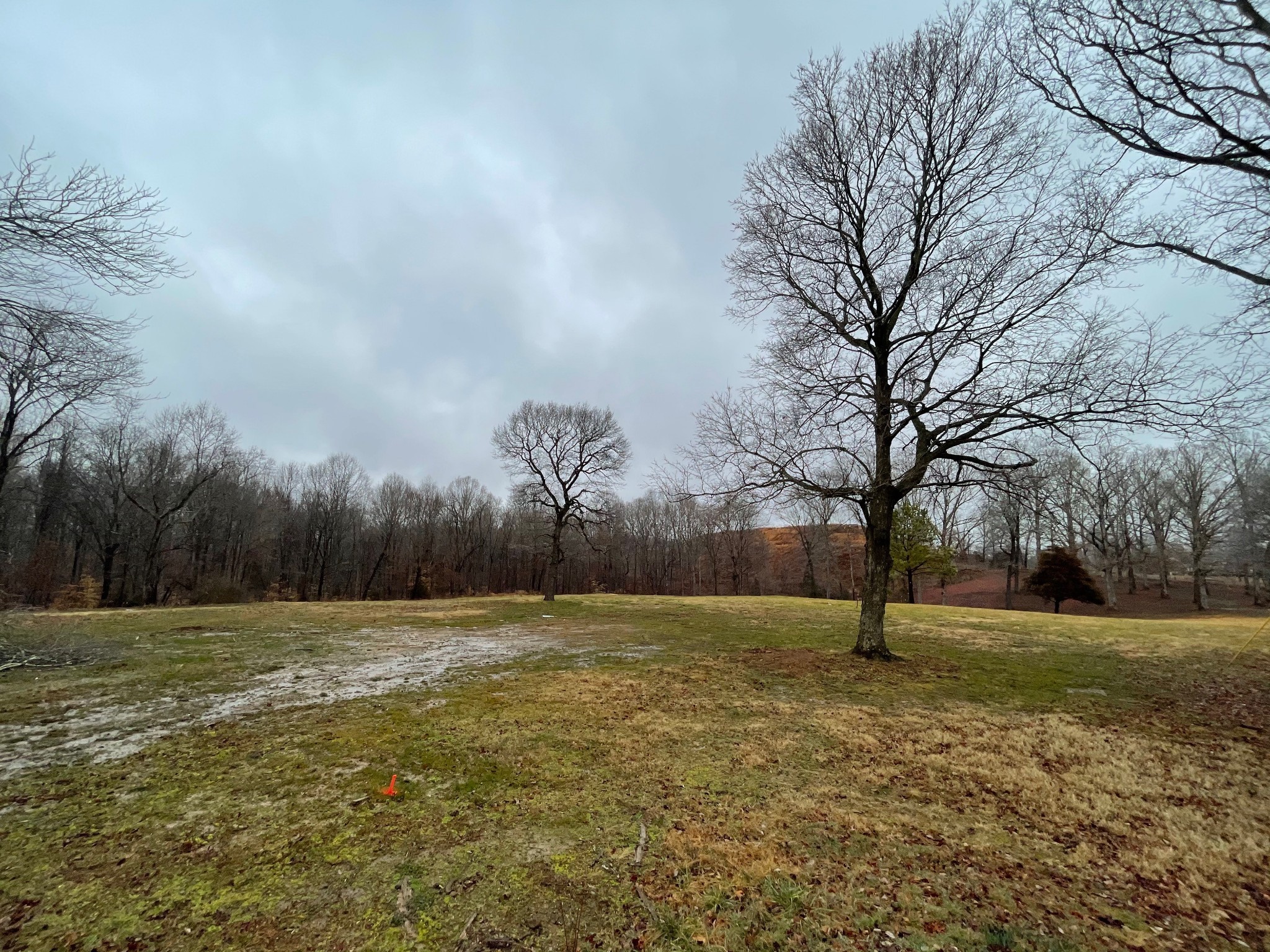 7 Pinewood Road Franklin, TN 37064 - Photo 7 of 12 a view of outdoor space with garden