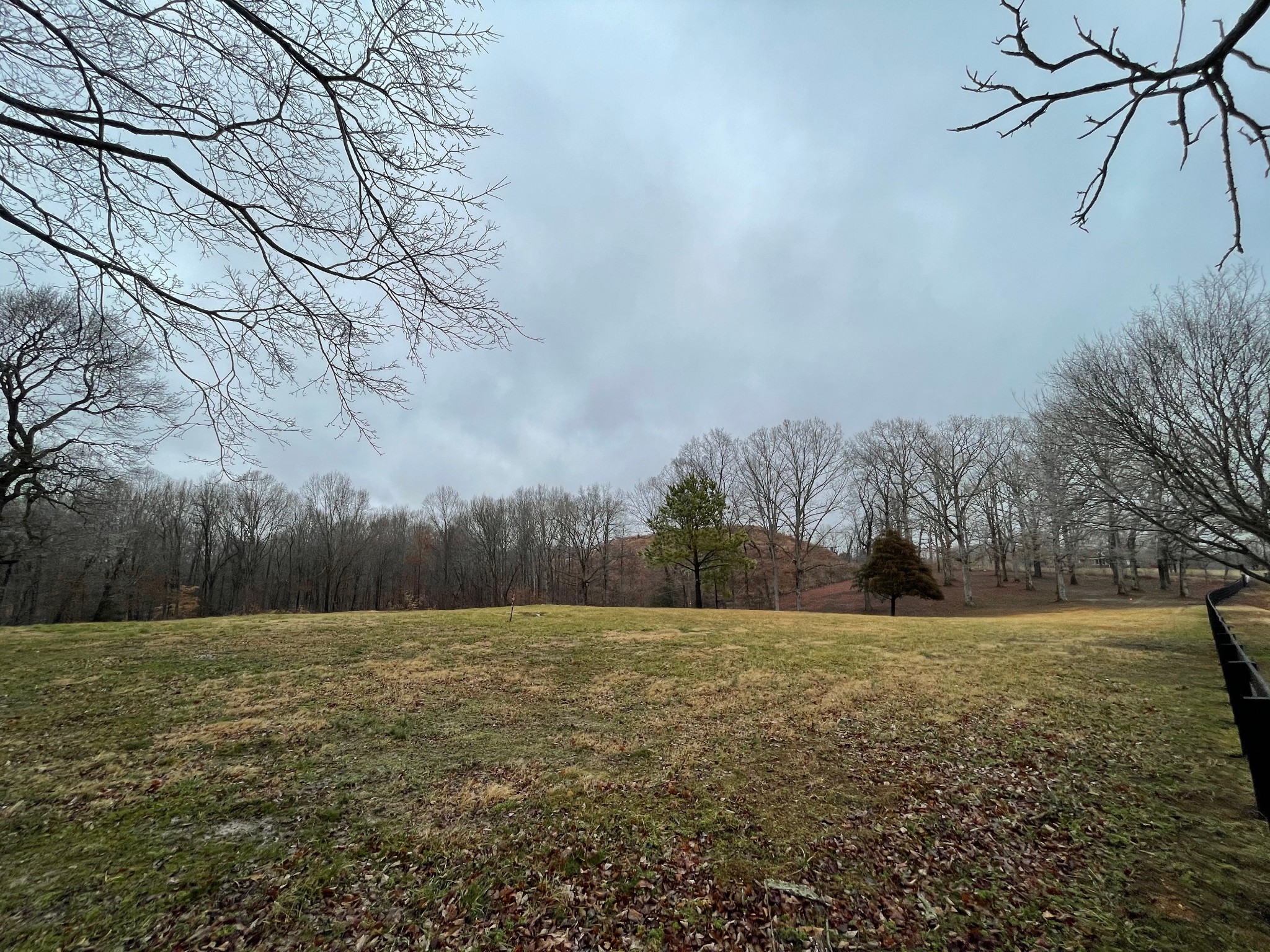 7 Pinewood Road Franklin, TN 37064 - Photo 10 of 12 a view of patio with a yard