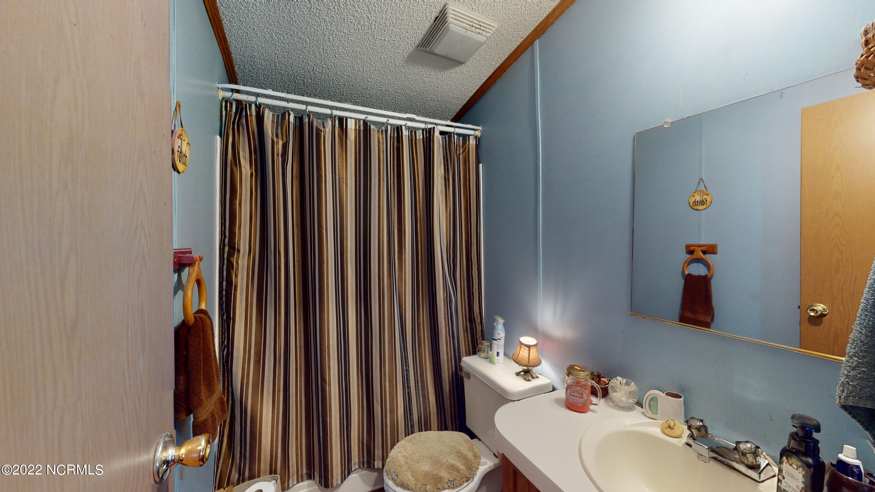 111 Johnny Whaley Road Beulaville, NC 28518 - Photo 28 of 31 Main bath