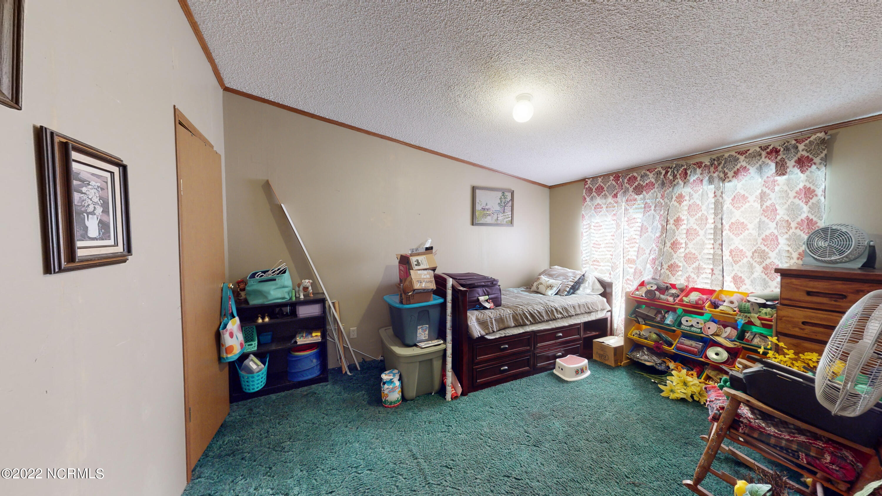 111 Johnny Whaley Road Beulaville, NC 28518 - Photo 29 of 31 111-Johnny-Whaley-Rd-09262022_145901