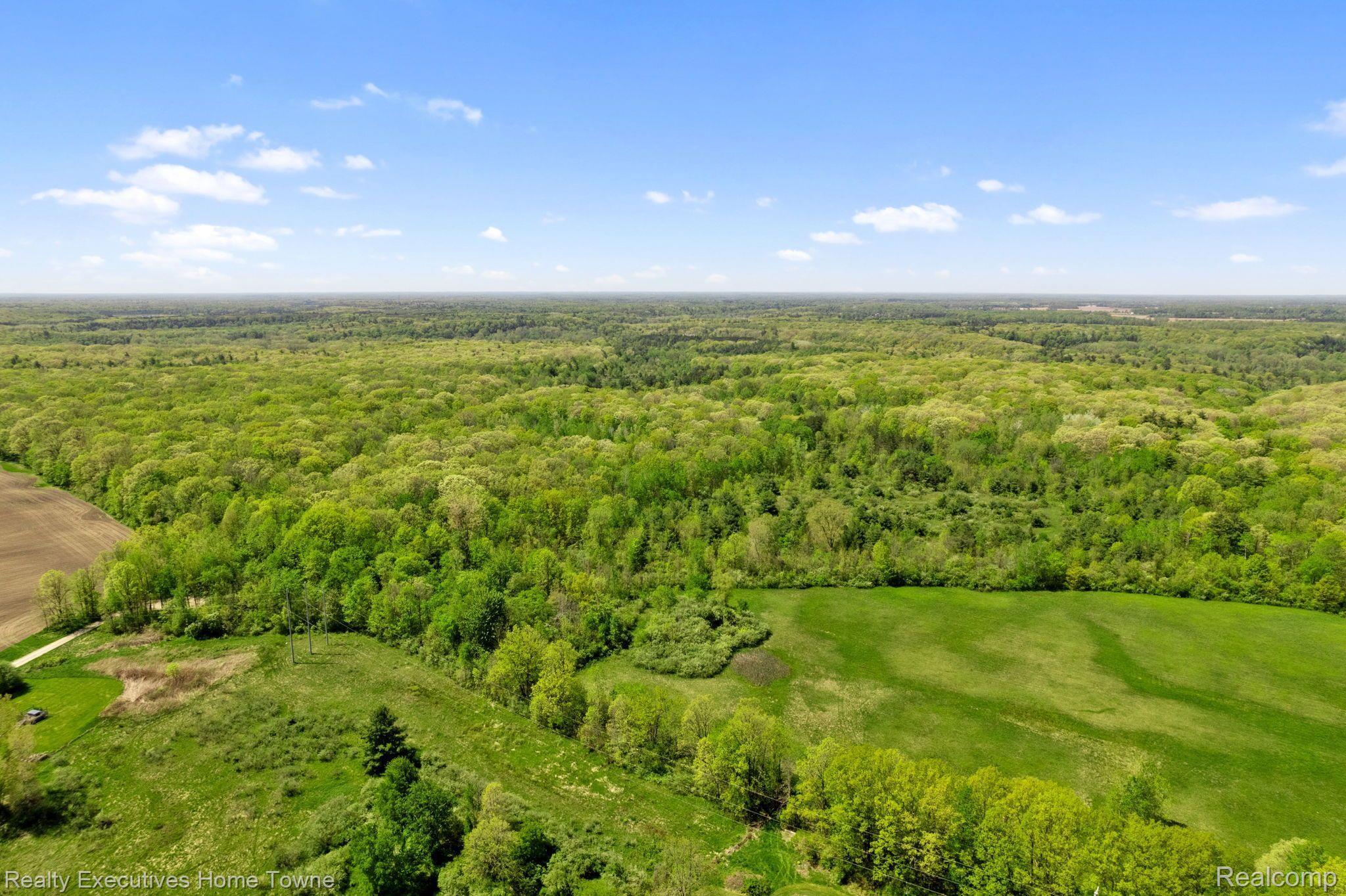 5581 Wildcat Road North Street, MI 48049 - Photo 75 of 76 State Land
