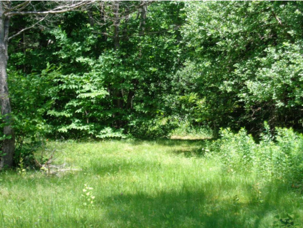 2875 Stinson Lake Road Ellsworth, NH 03266 - Photo 34 of 34 Gallery Image 34