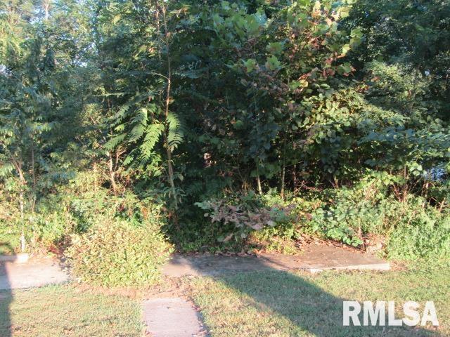 1506 Hillside Road Rosiclare, IL 62982 - Photo 21 of 29 a view of a yard with plants and large trees