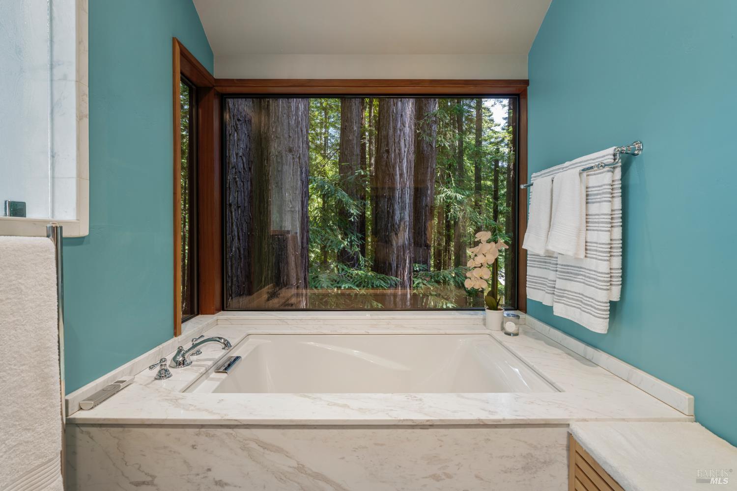 36419 East Ridge Road The Sea Ranch, CA 95497 - Photo 37 of 55 a bath tub sitting in a bathroom next to a window