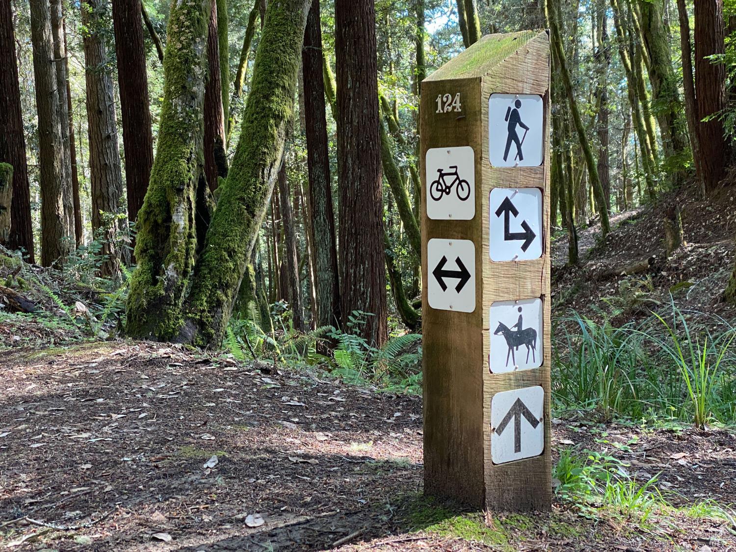 36419 East Ridge Road The Sea Ranch, CA 95497 - Photo 44 of 55 a sign that is on a pole