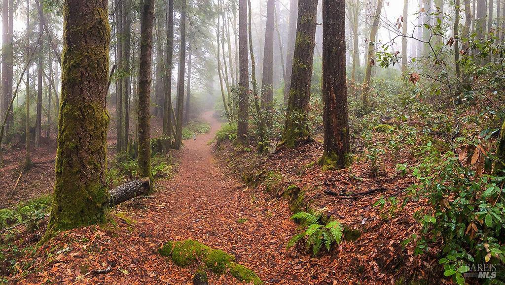 36419 East Ridge Road The Sea Ranch, CA 95497 - Photo 47 of 55