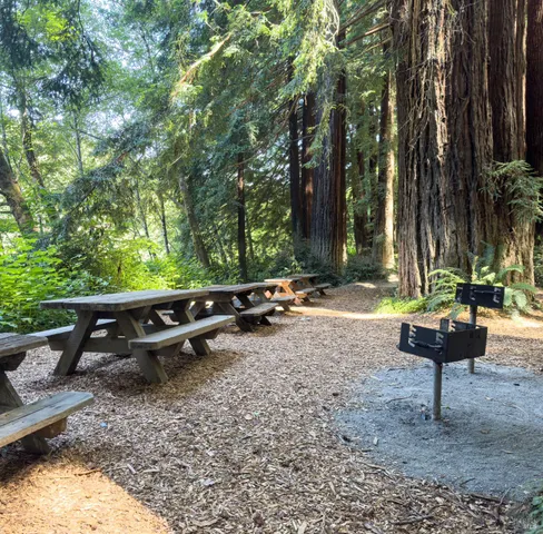 a view of a dry yard