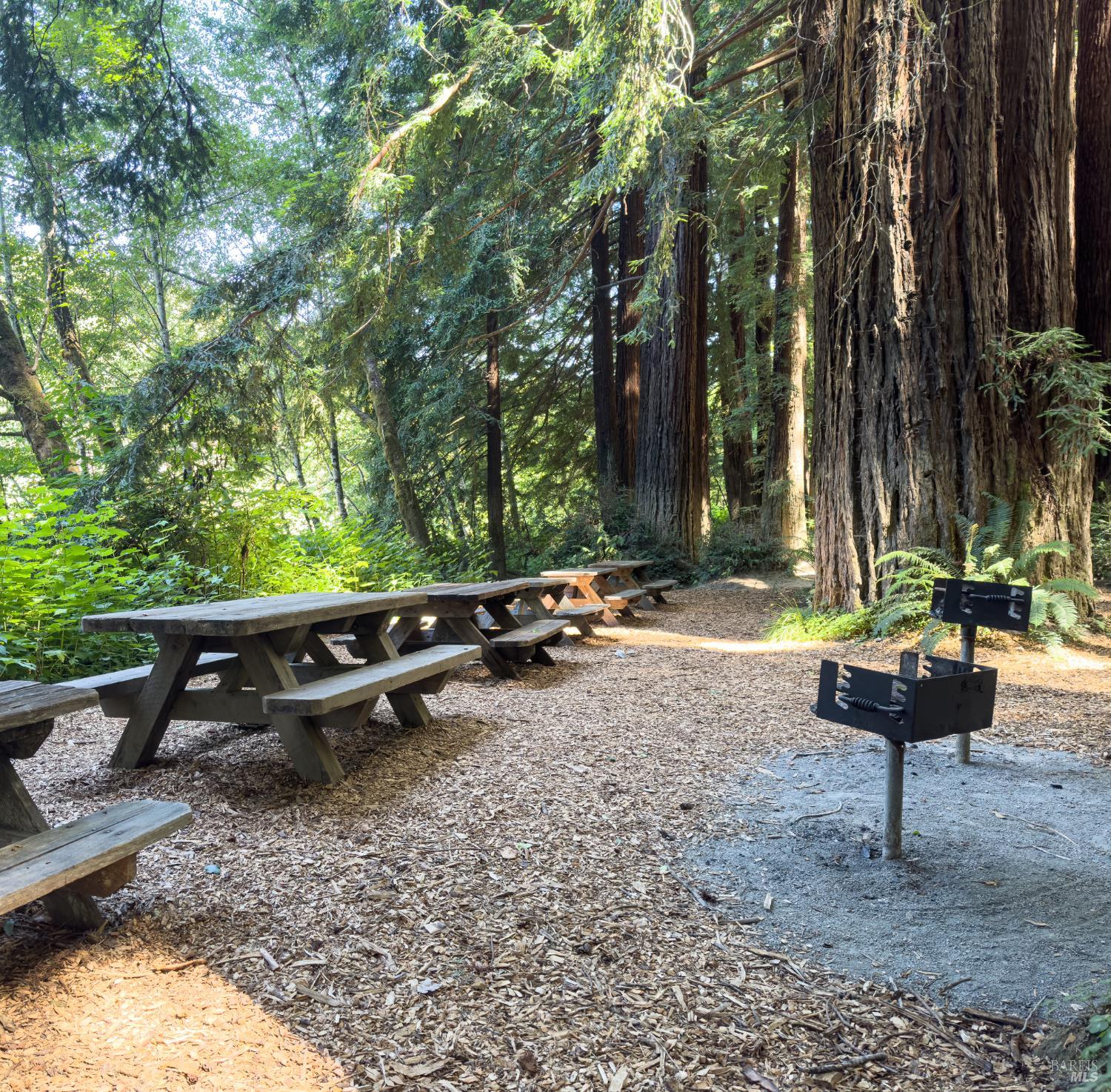 36419 East Ridge Road The Sea Ranch, CA 95497 - Photo 49 of 55 a backyard of a house with table and chairs