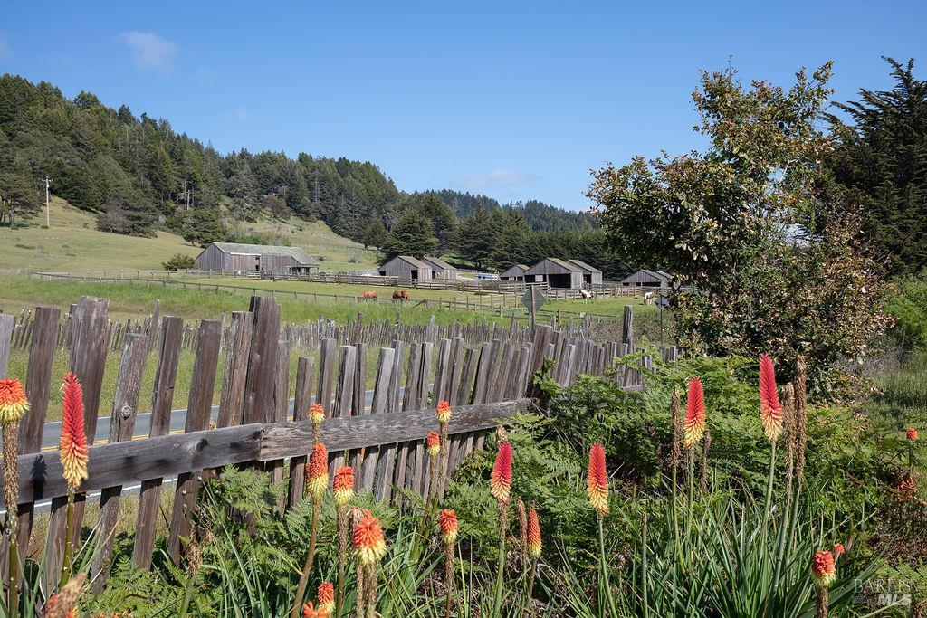 36419 East Ridge Road The Sea Ranch, CA 95497 - Photo 52 of 55 a view of a pathway of a yard of a house