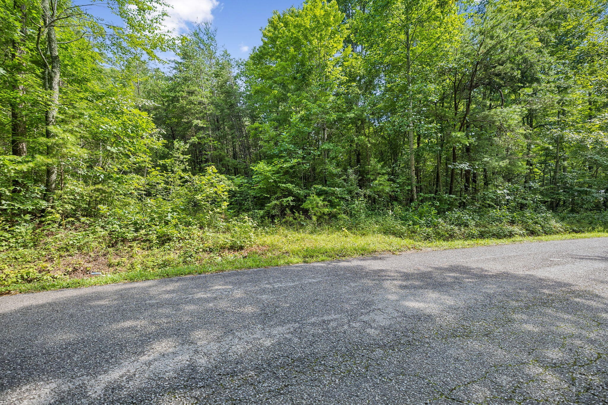 0 Ridge Road Lancing, TN 37770 - Photo 4 of 18