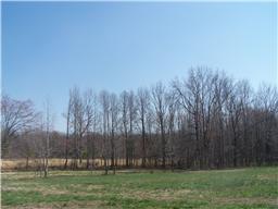 38 Lentz Road Summertown, TN 38483 - Photo 1 of 6 Beautiful flat land