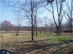 38 Lentz Road Summertown, TN 38483 - Photo 2 of 6 Many trees