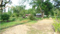 38 Lentz Road Summertown, TN 38483 - Photo 3 of 6 Barns