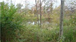 38 Lentz Road Summertown, TN 38483 - Photo 4 of 6 #1 Pond