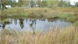 38 Lentz Road Summertown, TN 38483 - Photo 5 of 6 #2 Pond