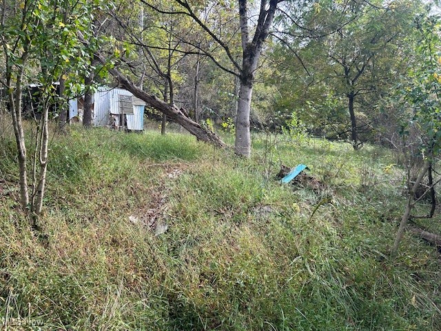 1990 Meathouse Fork Road Ravenswood, WV 26164 - Photo 2 of 14