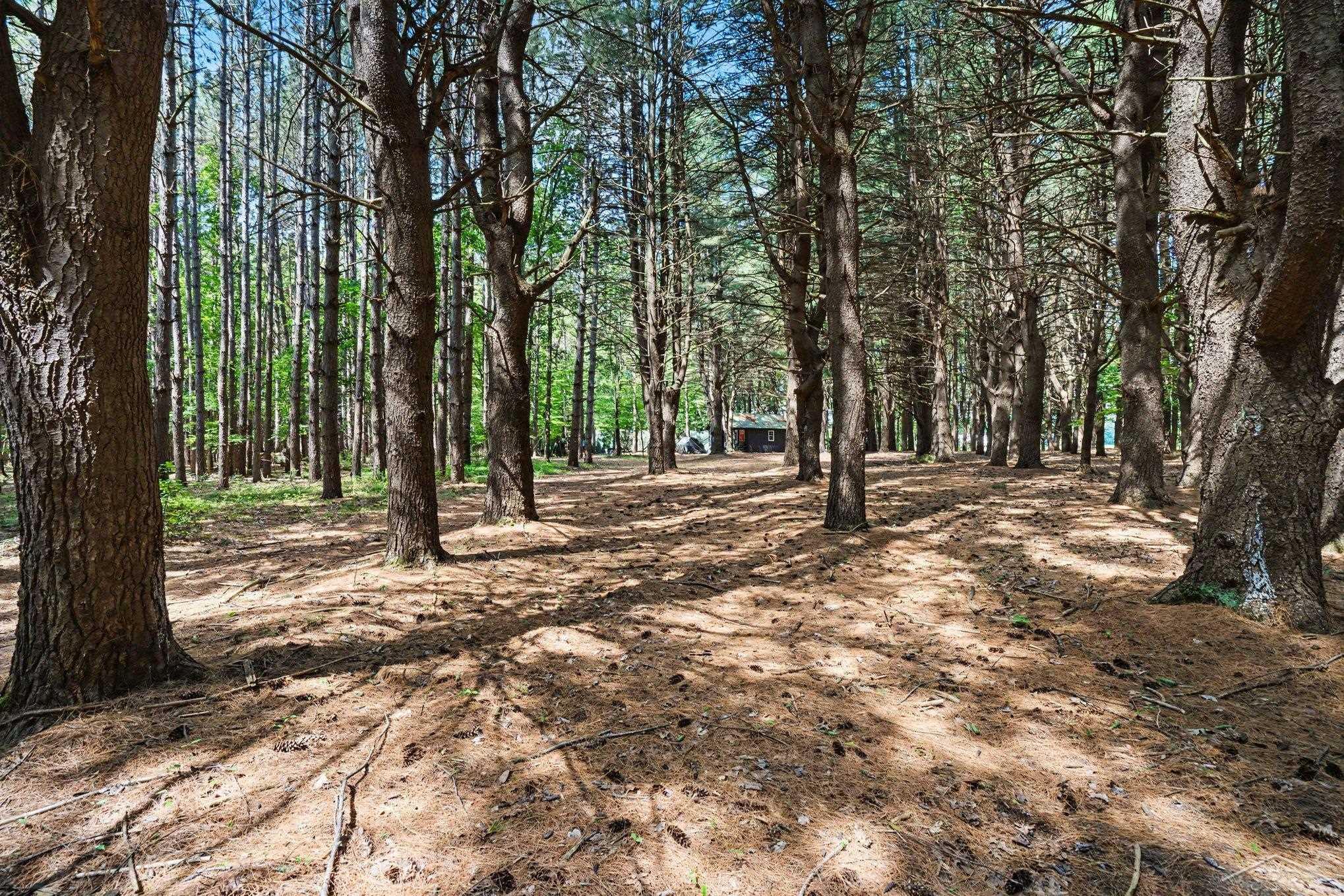 South Fenmore Road Merrill, MI 48637 - Photo 3 of 31