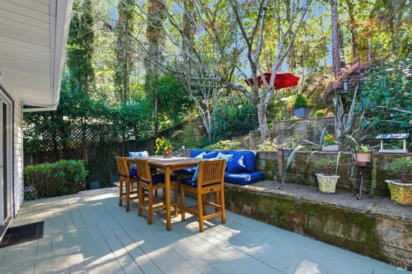 a view of a yard with plants and large trees