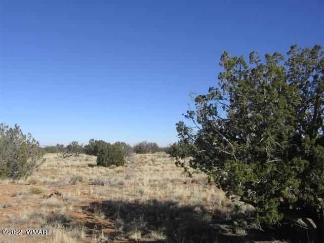 Lot 266 Chevelon Canyon Ranch Heber, AZ 85928 - Photo 2 of 6