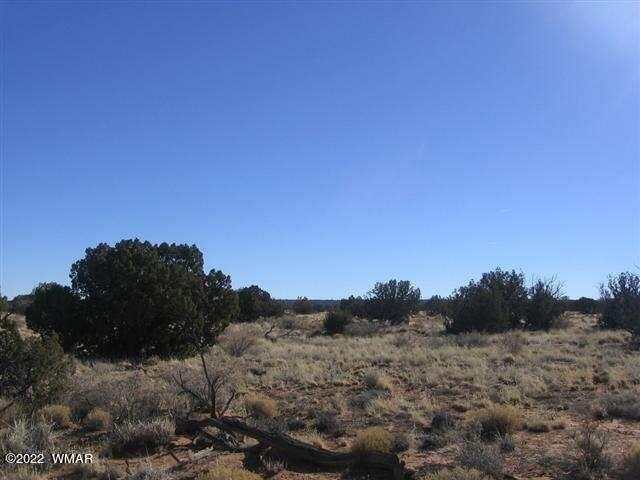 Lot 266 Chevelon Canyon Ranch Heber, AZ 85928 - Photo 3 of 6