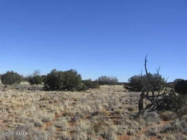 Lot 266 Chevelon Canyon Ranch Heber, AZ 85928 - Photo 5 of 6