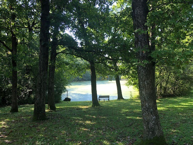 591 Plum Tree Road Barrington Hills, IL 60010 - Photo 3 of 30 a view of lush green forest