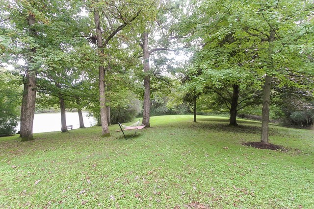 591 Plum Tree Road Barrington Hills, IL 60010 - Photo 22 of 30 a view of a tree in a park